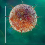 2019 Influenza Statistics and Demographics LexisNexis Risk Solutions