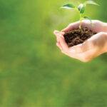 The Opportunity in Long-term Care Pharmacy